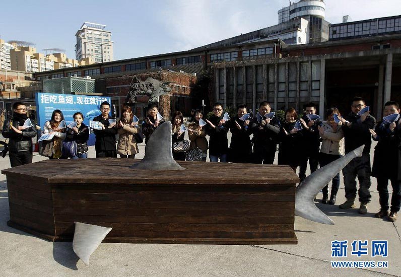 No shark fins:Several volunteers call for stop eating shark fins in front of an artistic work—Die of 2%, on Dec 9, 2012. Die of 2% created by two artists, Wang Shenshuai and Wu Yinyin, was exhibited in Shanghai Hongfang art society. Every year, 70 million sharks are killed for their fins. The excessive death of sharks affects ecological balance. (Xinhua/Ren Long) 