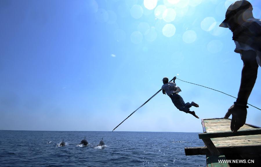 A harpooner on a traditional whale-hunting boat jumps and throws a spear at the dolphins in the waters of Lamalera in Indonesia's East Nusa Tenggara Province, Oct. 29, 2012. The decrease of whale population in the waters of Indonesia's Lamalera in recent years has been a concern to the locals as they rely on the whale capture to support economic needs, which now have turned to dolphin and shark capture. (Xinhua/Jiang Fan) 