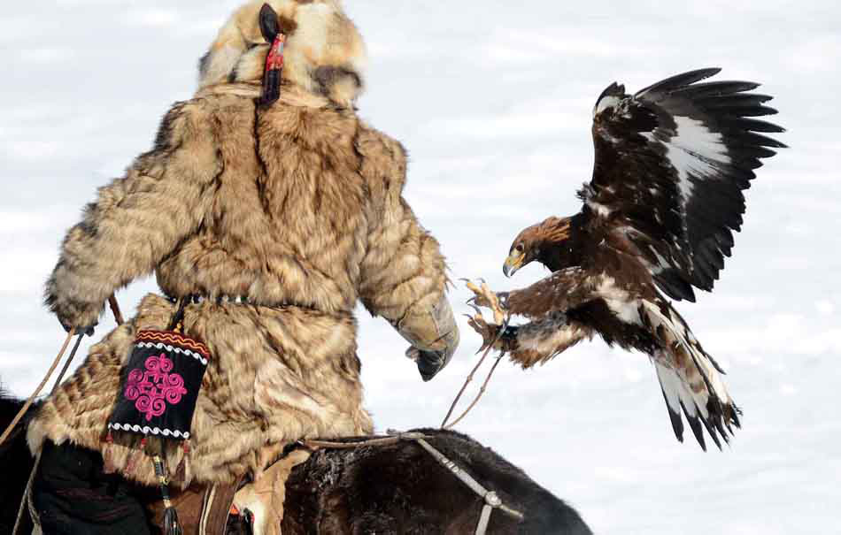 A falcon in the game on Jan. 7, 2013. (Photo/Xinhua)