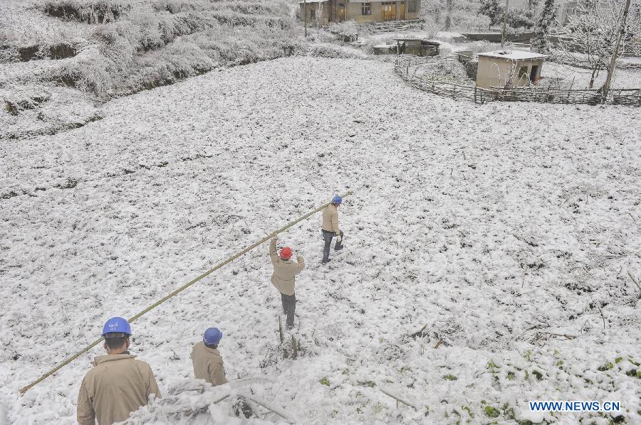 Workers carry a bamboo stick to clean the ice on the power line in Yongsha Village of Shuangliu Township in Kaiyang County, southwest China's Guiyang, Jan. 10, 2013. Local power grid company sent workers to clean power lines which couldn't melt the ice with automatic equipment. (Xinhua/Ou Dongqu) 