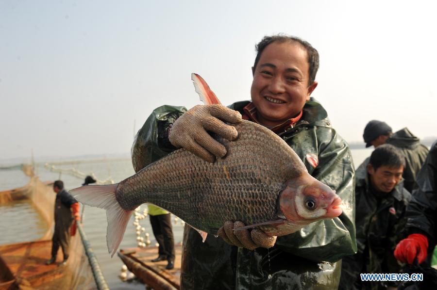 People fish on the Junshan Lake in Jinxian County, east China's Jiangxi Province, Jan. 10, 2013. The winter fish harvest of the lake began on Thursday and more than 60,000 kilograms of fish were caught on the first day. (Xinhua/Wan Chaohui)