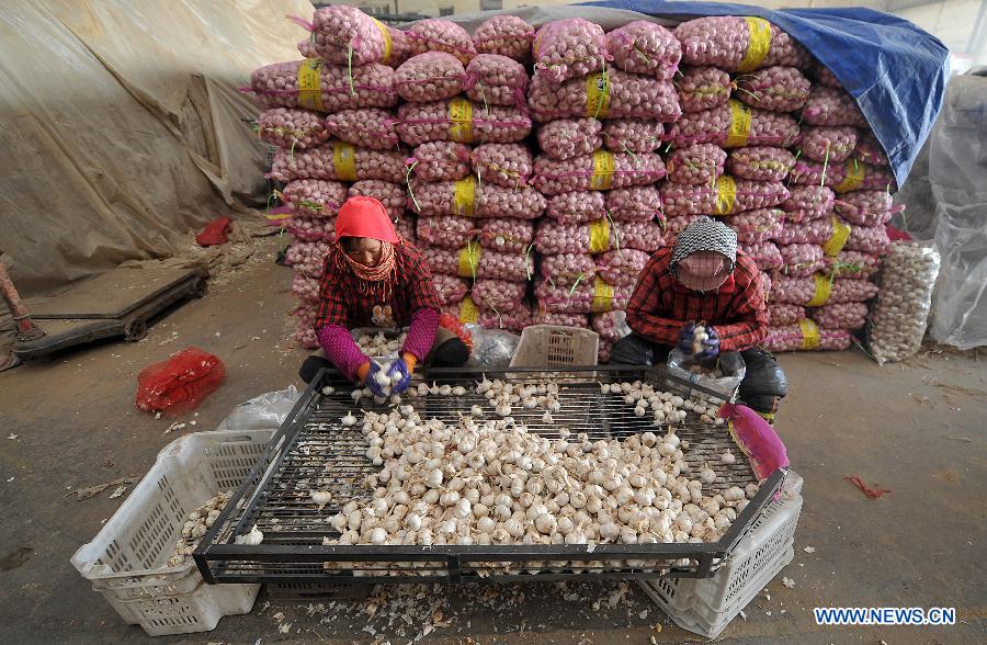 Wholesalers pack up garlics at a market in Taiyuan, capital of north China's Shanxi Province, Jan. 11, 2013. Vegetable prices jumped 14.8 percent year on year in December as cold weather disrupted supplies, pushing the consumer price index (CPI), a main gauge of inflation, up 0.41 percentage points. (Xinhua/Zhan Yan)