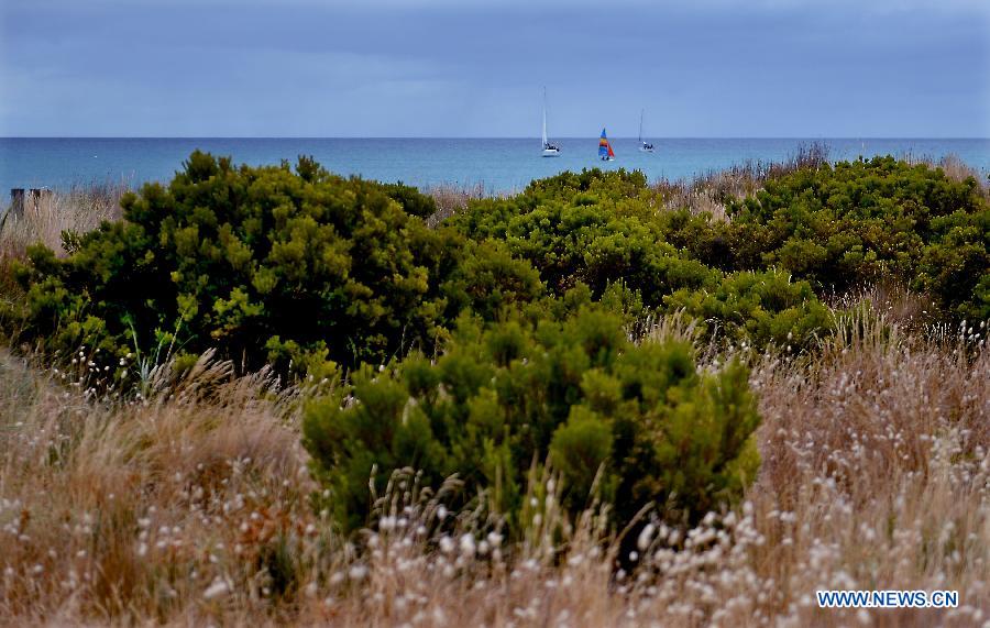 Some water sports enthusiasts practice at the beach in Melbourne, Australia, Jan. 12, 2013. (Xinhua/Chen Xiaowei) 