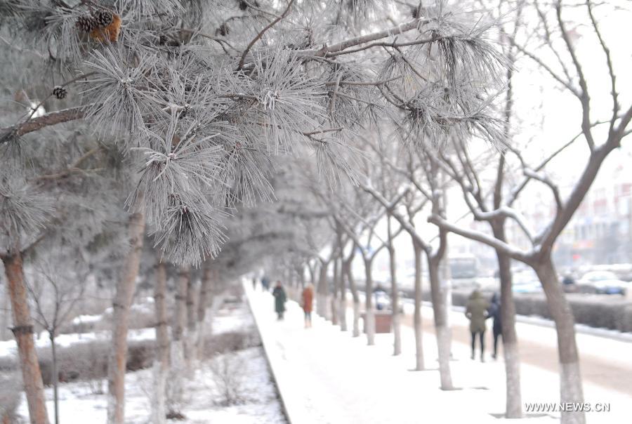 People walk on Huolinhe Street sided with rimed trees in Tongliao City, north China's Inner Mongolia Autonomous Region, Jan. 12, 2013. (Xinhua/Hao Xihui) 