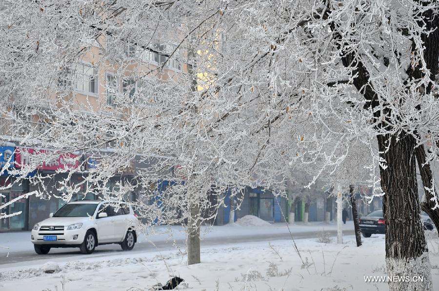 Photo taken on Jan. 12, 2013 shows rimed trees on a street in Yakeshi City, north China's Inner Mongolia Autonomous Region. (Xinhua/Yu Changjun) 