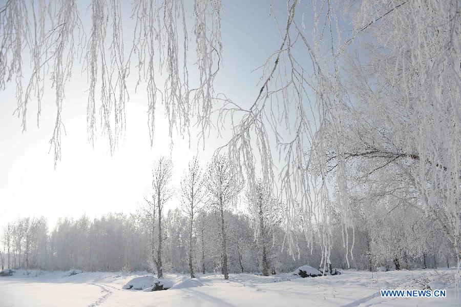 Photo taken on Jan. 10, 2013 shows rime scenery in Chonghu'er Township of Burqin County, northwest China's Xinjiang Uygur Autonomous Region. (Xinhua/Sadat)