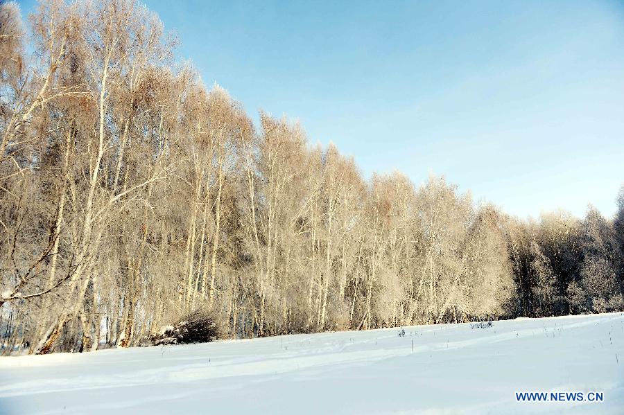 Photo taken on Jan. 10, 2013 shows rime scenery in Chonghu'er Township of Burqin County, northwest China's Xinjiang Uygur Autonomous Region. (Xinhua/Sadat)