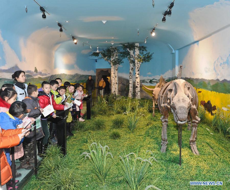 Children look at the fossils of dinosaurs at the science experience hall for youths in the Heilongjiang Museum in Harbin, capital of northeast China's Heilongjiang Province, Jan. 15, 2013. As winter holiday begins in Harbin, children can visit the hall for free and take part in scientific lectures held by the museum. (Xinhua/Wang Song)