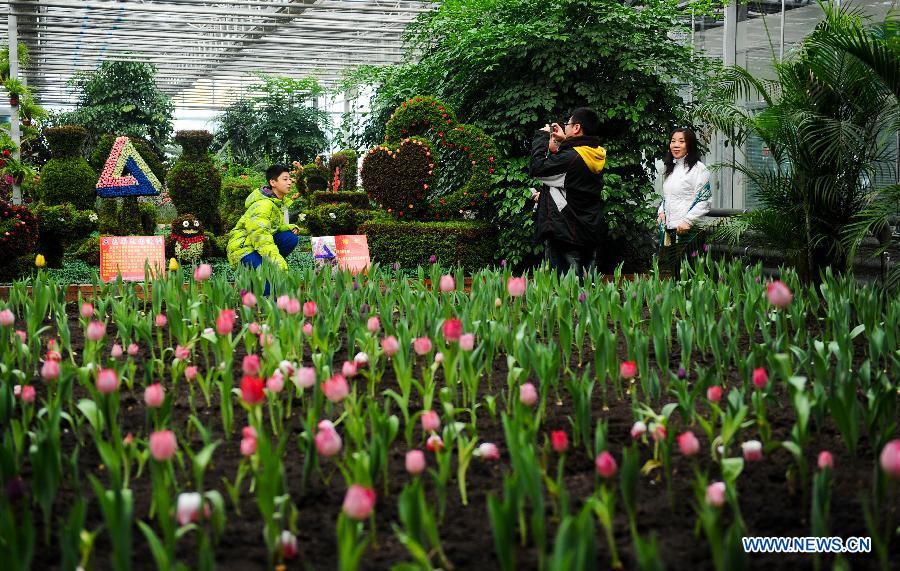 Visitors pose for photo in a garden during the 4th Jilin Agricultural Expo for Winter in Changchun, capital of northeast China's Jilin Province, Jan. 16, 2013. Many people came to purchase goods for the coming Spring Festival. (Xinhua/Xu Chang)