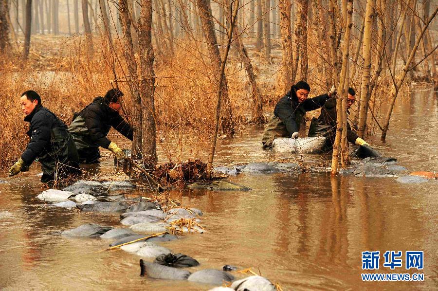 A staff puts activated carbon into upstream of Yuecheng Reservoir on Jan. 8, 2013. (Xinhua/ Zhu Xudong)