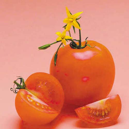 Tomato (file photo)