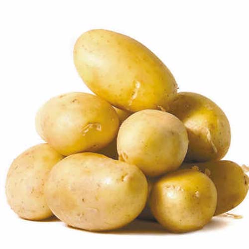 Potato (file photo)