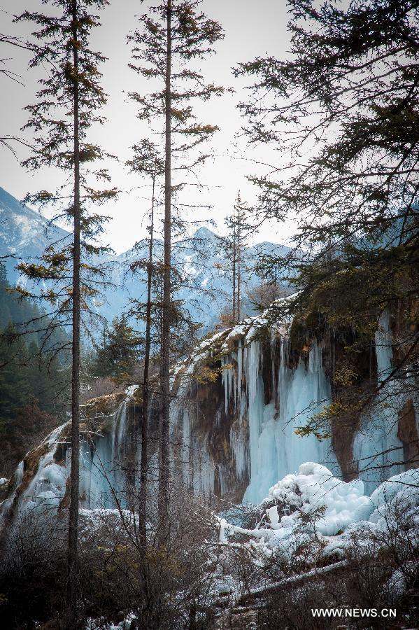 Photo taken on Jan. 19, 2013 shows icefall scenery in Jiuzhai Valley in Jiuzhaigou County, southwest China's Sichuan Province. (Xinhua/Jiang Hongjing) 