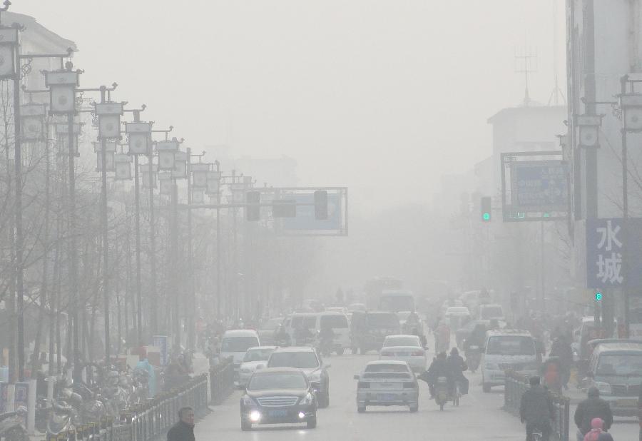 Photo taken on Jan. 21, 2013 shows the fog-shrouded Shantang Street, a famous water alley, in Suzhou, east China's Jiangsu Province. (Xinhua/Wang Jiankang) 