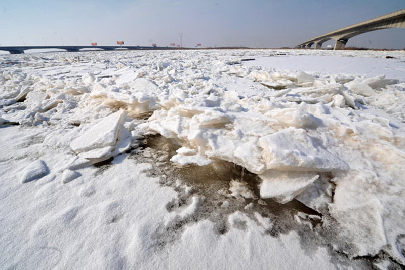 Drift ice is seen on the Yinchuan section of the Yellow River in Northwest China's Ningxia Hui autonomous region, on Jan 21, 2013. (Photo/Xinhua)