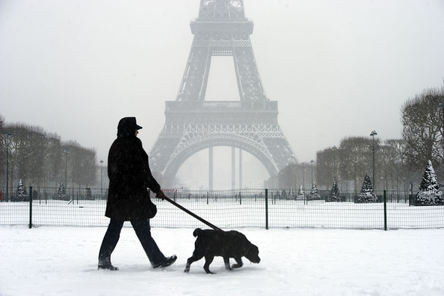 A woman walks with a dog in snow in Paris, capital of France, Jan. 20, 2013. Heavy snowfall hit most parts of France since Jan. 18, affecting its traffic and power supply. (Xinhua/Etienne Laurent) 