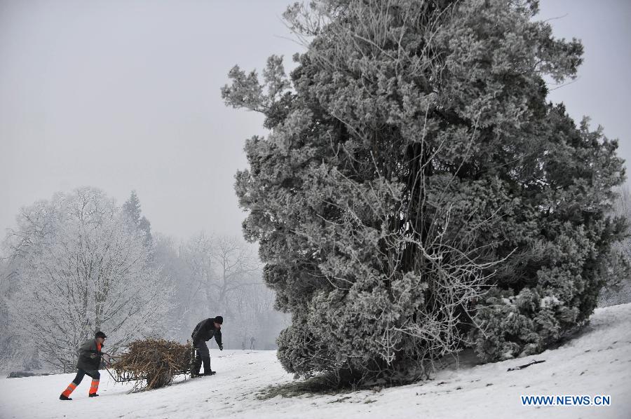 Photo taken on Jan. 23, 2013 shows the rime view in a park in Brussels, Belgium, after a heavy fog with low temperature. (Xinhua/Ye Pingfan) 