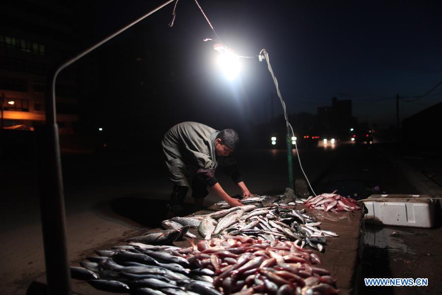 A Palestinian fisherman sells fish on a beach upon his return from the sea, in Gaza City on Jan. 23, 2013. (Xinhua/Wissam Nassar) 