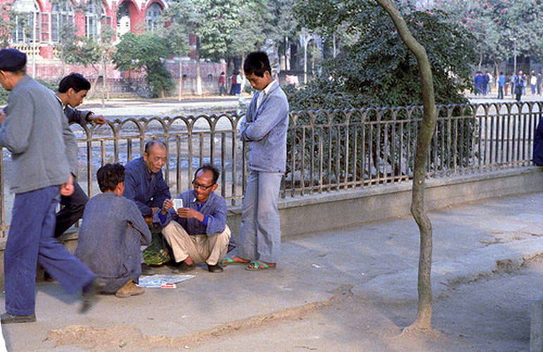 People play cards. (Photo/Chinadaily.com.cn)