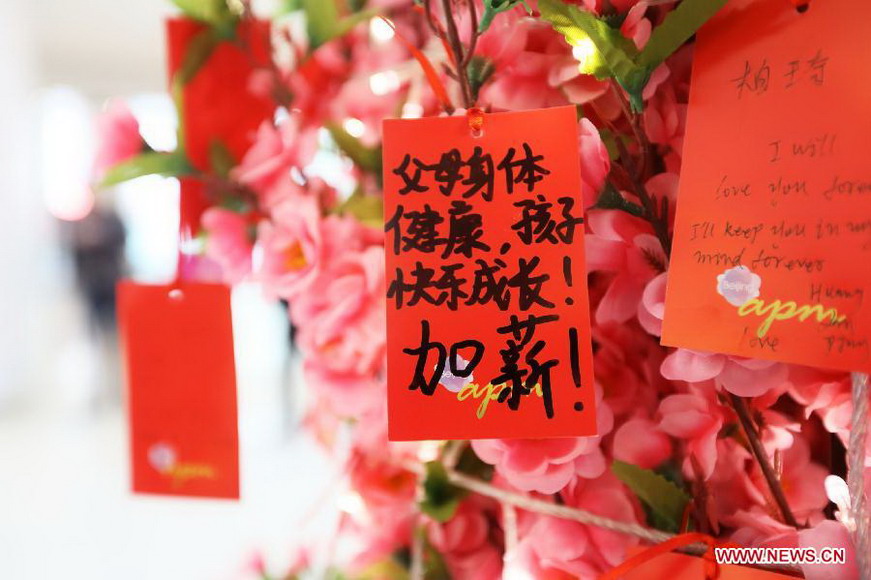 Cards with people's New Year wishes written on them are tied to a wishing tree at a shopping mall in Wangfujing, a commercial area in Beijing, capital of China, Jan. 26, 2013. (Xinhua/Luo Wei) 