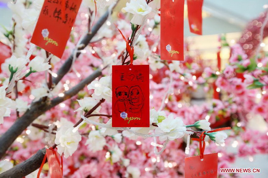 Cards with people's New Year wishes written on them are tied to a wishing tree at a shopping mall in Wangfujing, a commercial area in Beijing, capital of China, Jan. 26, 2013. (Xinhua/Luo Wei) 