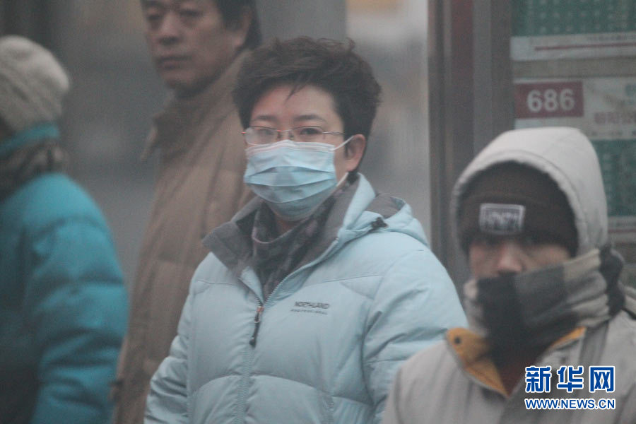 Beijing resident wears a breathing mask outside in the early morning of January 29th, 2013. (Photo/Xinhua)