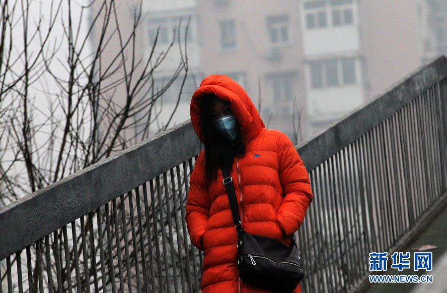 Beijing resident wears a breathing mask outside in the early morning of January 29th, 2013. (Photo/Xinhua)