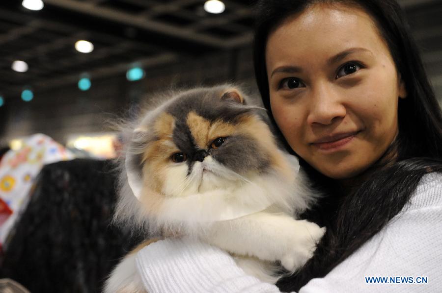 A woman poses with her cat on an exhibition in Hong Kong, south China, Feb. 2, 2013. The 2013 Spring Championship Cat Show was held at Hong Kong Convention and Exhibition Center here on Saturday. More than one hundred cats from different kind such as "British Shorthair", "Scottish Fold" and "Maine Coon" showed up on the exhibition. (Xinhua/Zhao Yusi)