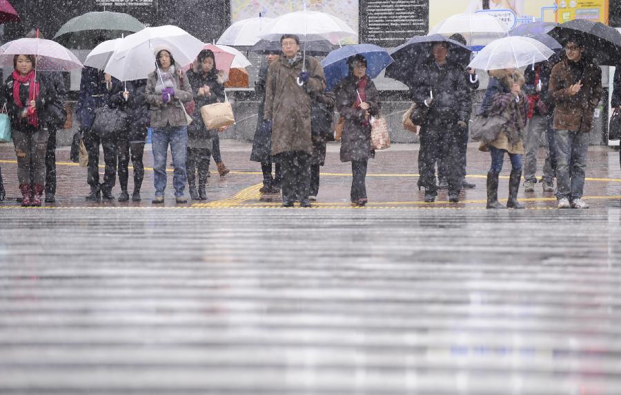 Pedestrians wait to cross a street during a snowfall in Tokyo, Japan, Feb. 6, 2013. (Xinhua/Kenichiro Seki)