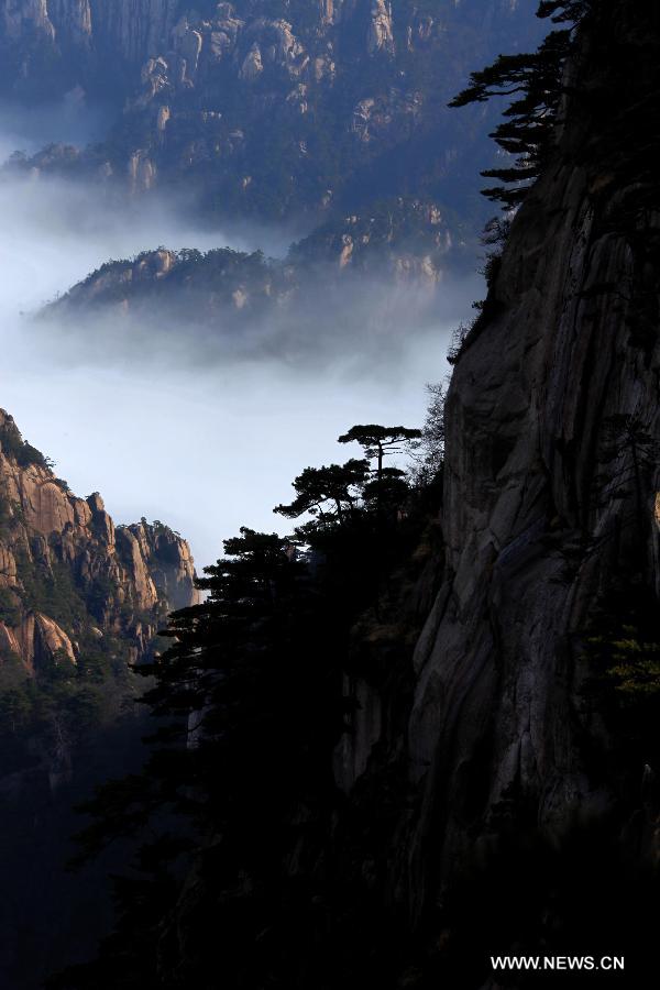Photo taken on Feb. 6, 2013 shows the sea of clouds after a rainfall at the Huangshan Mountain scenic spot in Huangshan City, east China's Anhui Province. (Xinhua/Shi Guangde) 