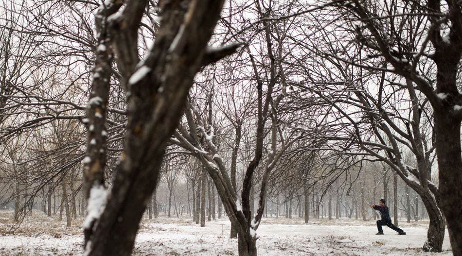 Wang Qi, 63, is seen practicing in a snow covered park in Beijing, Feb. 3. (Xinhua/Fei Maohua)