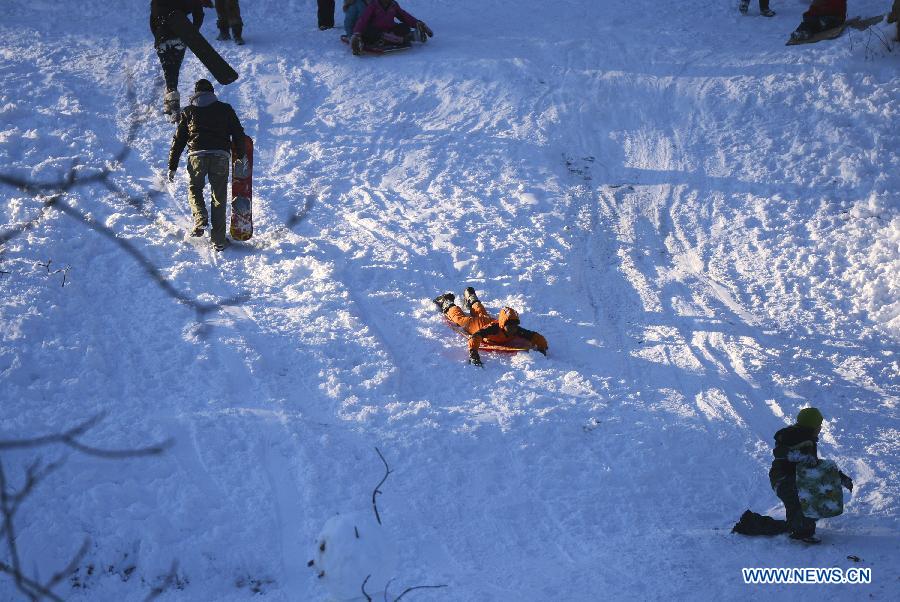 People enjoy themselves inside the Central Park of New York City, on Feb. 9, 2013. A massive blizzard dumped as much as three feet (one meter) of snow in parts of the Northeastern United States, leaving some 650,000 households and businesses without power and two dead by Saturday. (Xinhua/Wang Lei) 