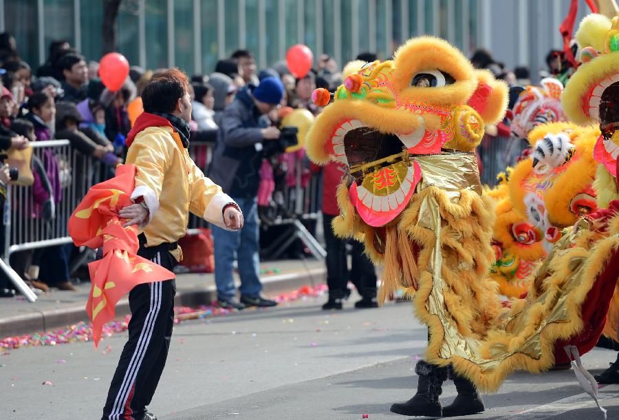 Overseas Chinese lion dance team participate in the parade to celebrate the traditional Chinese Lunar New Year in Flushing of the Queens Borough of New York, Feb. 16, 2013. (Xinhua/Wang Lei) 