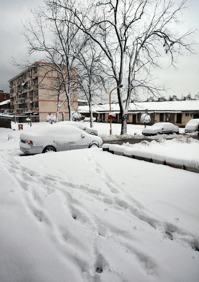 Heavy snow covers road and cars after snowfall in a community in Nanjing, capital of east China's Jiangsu Province, Feb. 19, 2013. A snowstorm hit Jiangsu province on Feb. 19 morning and local meteorological bureau has issued a blue alert for the snowfall. (Xinhua/Liu Jianhua) 