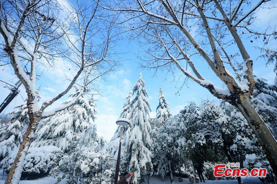 Photo taken on February 19 shows the snow scenery of Yangzhou in East China's Jiangsu Province. (CNS/Meng Delong)