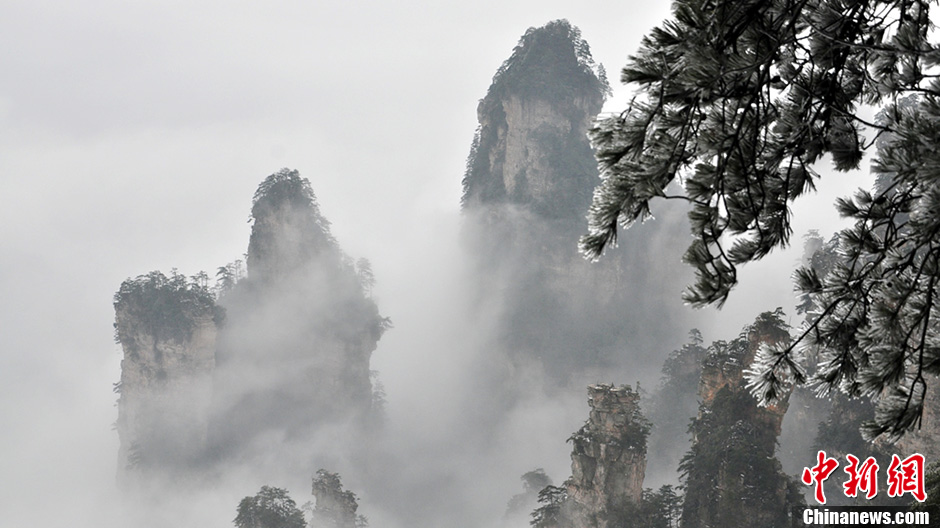 Photo taken on February 20 shows the snow scenery of Zhangjiajie in Central China's Hunan Province. (CNS/Deng Daoli)