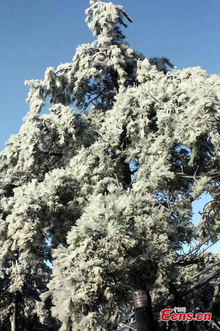 Photo taken on February 20 shows the beautiful scenery of Lushan Mountain in Jiujiang City, East China's Jiangxi Province. (CNS / Huang Shuilin)