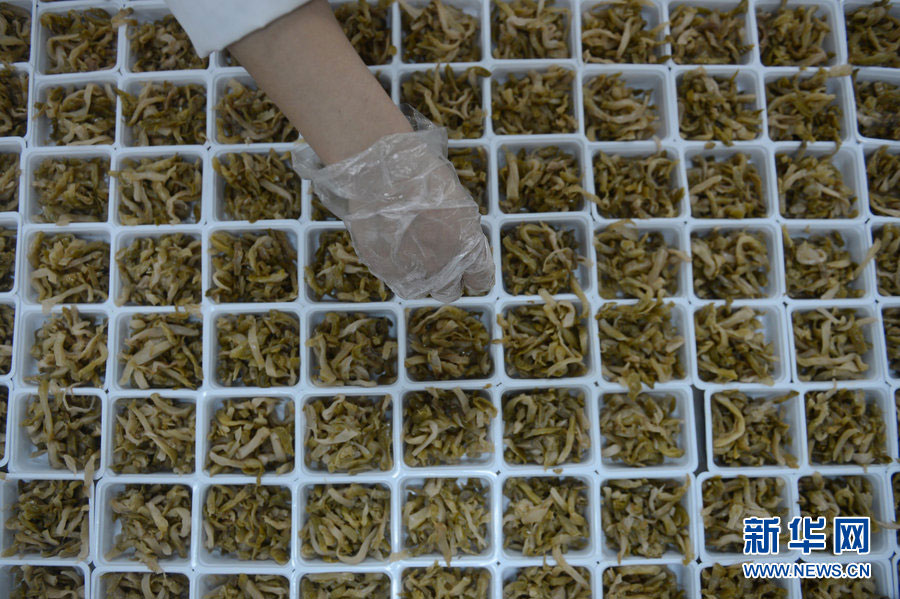 A worker prepares airline food inside China Southern Airlines' Changchun in-flight food company, on Jan. 31, 2013. The company is capable of providing airline meals for more than 7,000 passengers every day during the Spring Festival travel peak. The whole procedure, from purchasing the raw materials to getting the prepared food onto the plane, takes at least six hours. [Xinhua]  