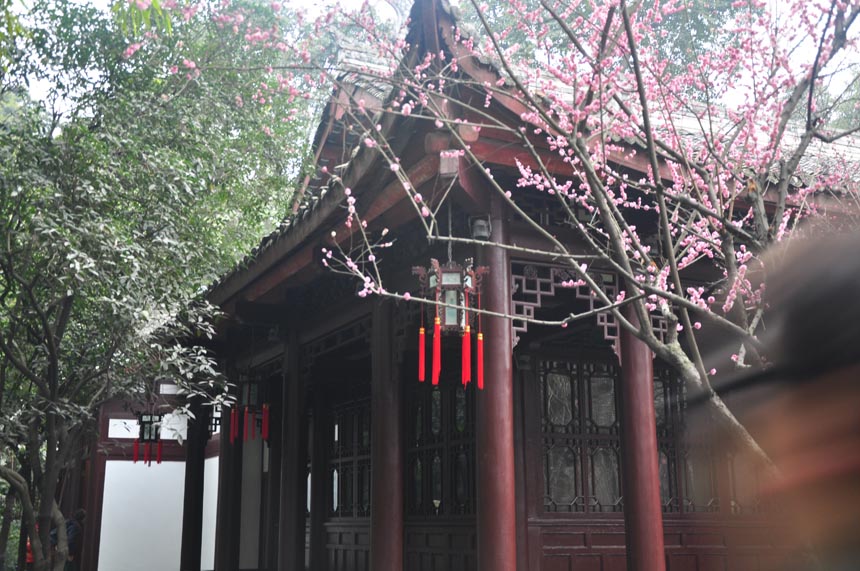 A cultural festival in commemoration of poet-sage Dufu is held in the Thatched Cottage of Du Fu in Chengdu, Feb. 7, 2013. Located at the side of the Flower Bathing Brook on the western outskirts of Chengdu, the Cottage has been rebuilt and converted into a museum to commemorate the realist poet Dufu of the Tang Dynasty. (China.org.cn)