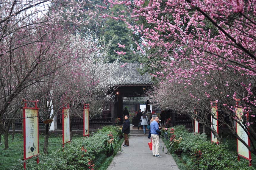 A cultural festival in commemoration of poet-sage Dufu is held in the Thatched Cottage of Du Fu in Chengdu, Feb. 7, 2013. Located at the side of the Flower Bathing Brook on the western outskirts of Chengdu, the Cottage has been rebuilt and converted into a museum to commemorate the realist poet Dufu of the Tang Dynasty. (China.org.cn)