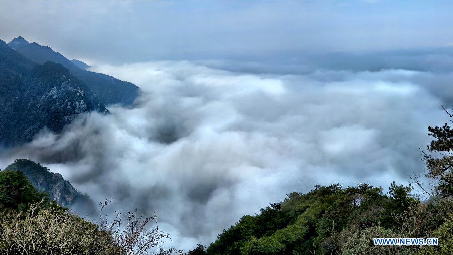 Photo taken on Feb. 22, 2013 shows scenery of the Lushan Mountain in Jiujiang, east China's Jiangxi Province. (Xinhua/Qin Yongyan) 