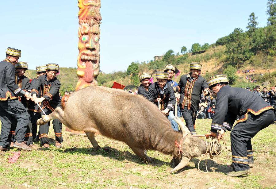  Villagers of Yao ethnic group sacrifice a bull to Panwang (King Pan), the legendary ancestor of the Yao people, at Shikou Village of Sanjiang Township in Gongcheng Yao Autonomous County, south China's Guangxi Zhuang Autonomous Region, Feb. 23, 2013. (Xinhua/Zhou Hua) 