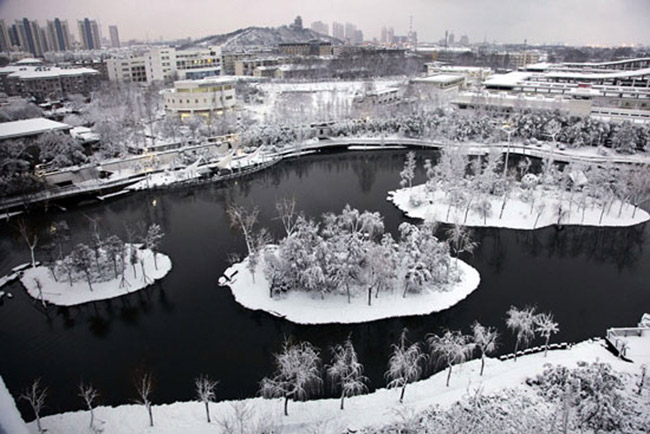 Photo taken on Feb. 19, 2013 shows snow scenery of a park. According to central meteorological station forecast a snowfall will hit many cities in South China. (Xinhua/Li Wenbao)