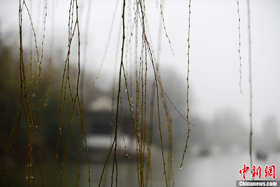 Photo taken on February 26 shows the beautiful scenery of the Slender West Lake, a well-known scenic spot in the city of Yangzhou in East China's Jiangsu Province.(CNS / Meng Delong)