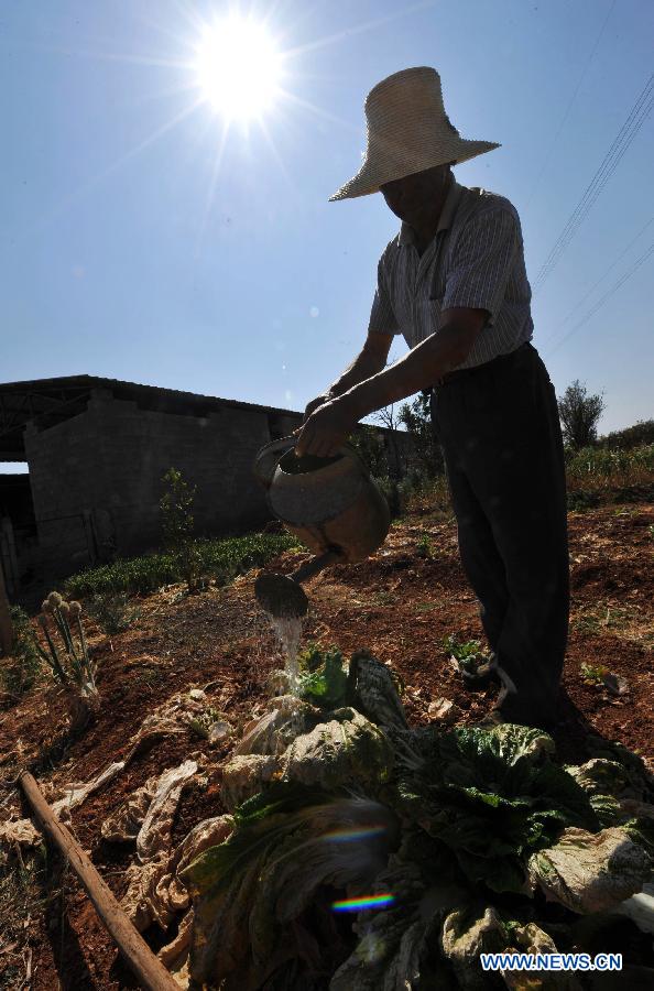 Farmer Zhao Tingxing waters the drought-hit vegetables in Shilin County of southwest China's Yunnan Province, Feb. 27, 2013. About 600,000 people are facing shortage of drinking water amid severe drought that hit southwest China's Yunnan Province for the fourth straight year, and the current drought has affected 5.11 million mu of cropland in the province China's drought relief authority said Feb. 21, 2013. (Xinhua/Lin Yiguang) 