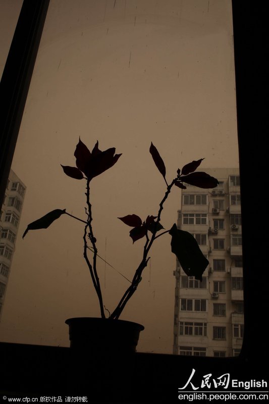 Sand and dust cover the sky of Beijing, Feb. 28, 2013. Sand and haze hit Beijing in a row from Wednesday, causing serious air pollution and poor visibility. The Meteorological Bureau of Beijing issued blue alert for strong gale and yellow alert for haze yesterday. (Photo/CFP)