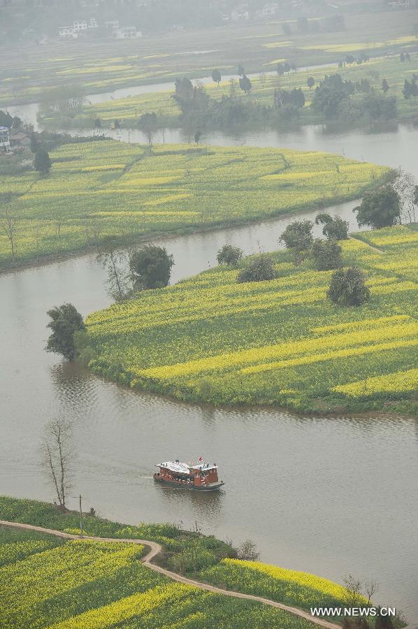 Tourists watch the rape flowers by boats during the 6th rape flower festival in Tongnan County, southwest China's Chongqing Municipality, March 1, 2013. The festival will last until late March. (Xinhua/Chen Cheng)