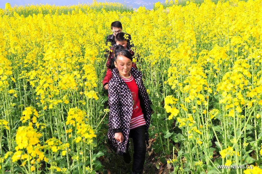 Children play among rape flowers in Muyu Island of Maoping Town in Zigui County, central China's Hubei Province, March 3, 2013. (Xinhua/Wang Huifu)