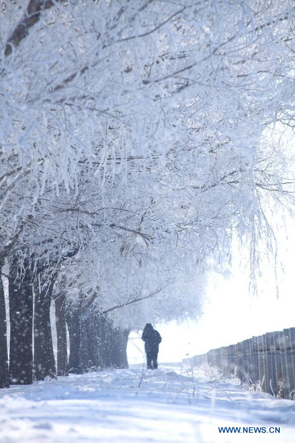 A local resident walks under rime-covered trees at Jiangbin Park in Jilin City, northeast China's Jilin Province, March 3, 2013. (Xinhua)