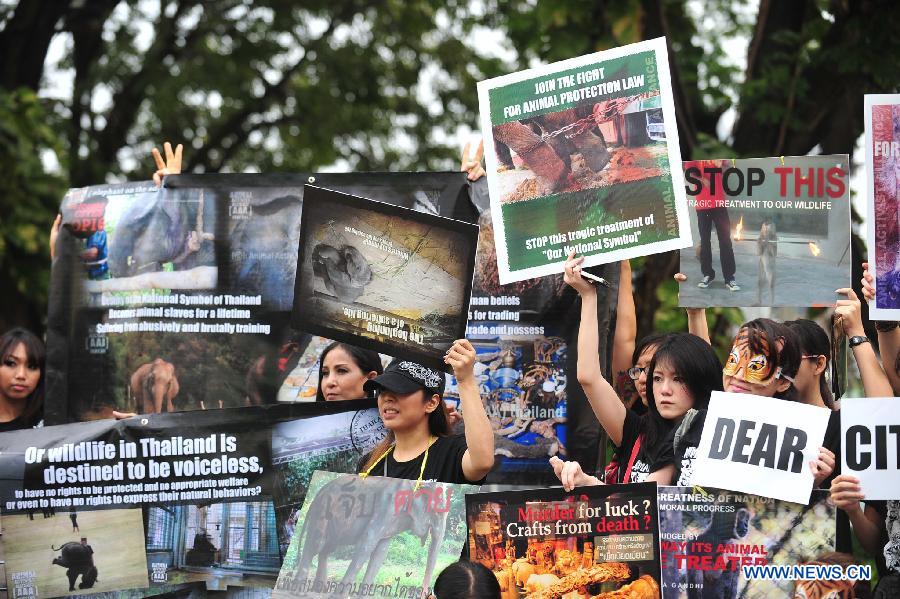 Activists holding placards call for a stop of animal trade at Queen Sirikit National Convention Center in Bangkok, Thailand, March 4, 2013. Curbing the trade in "blood ivory" is at the top of the agenda during a Convention on the International Trade in Endangered Species of Wild Fauna and Flora (CITES), which opens in Thailand on Sunday. (Xinhua/Rachen Sageamsak) 